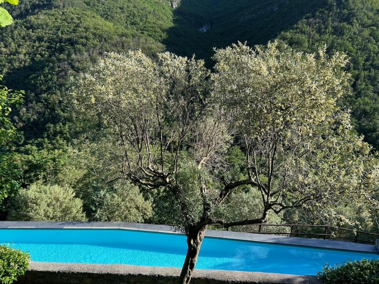 Cassa Di Loggia Stunning Medieval Setting Colletta Εξωτερικό φωτογραφία
